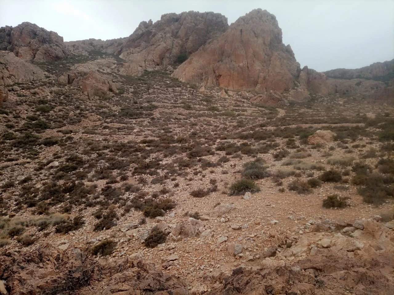 المغرب