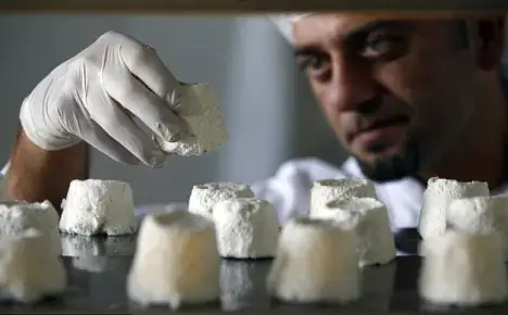 Novak Djokovic buys world's supply of donkey cheese