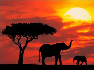 UAE Tourists to Kenya Increase by 89.6%