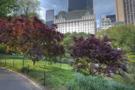 New York’s Plaza Hotel to go to Indian group