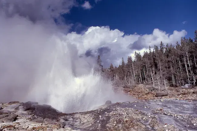 World's largest geyser comes alive