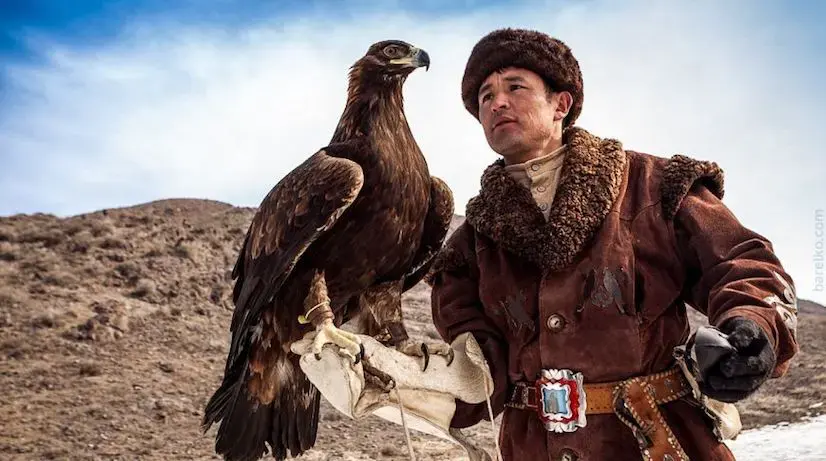 Kazakhstan's new tourist attraction - falconry