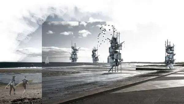Seaside Hostel In England Houses Both Birds And Guests