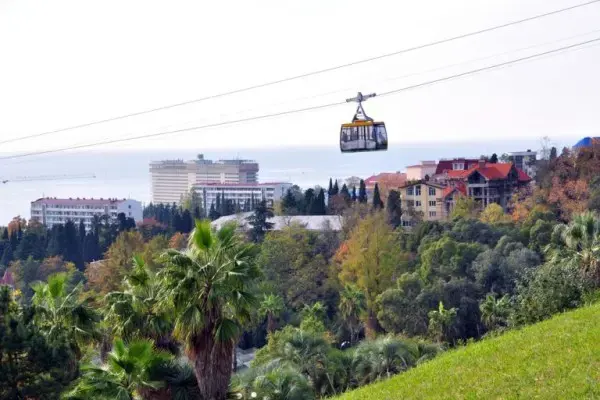What to see and do in Sochi 2