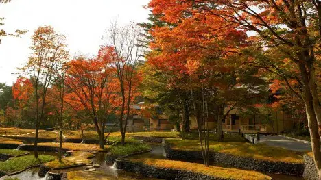 Earth Day special: Top eco-friendly luxury hotels