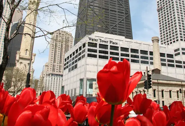Chicago's Water Tower Place attracting tourists