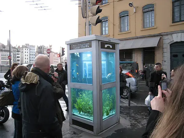 Old telephone booths converted into aquariums