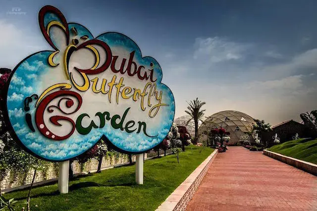 Must visit: the Dubai Butterfly Garden