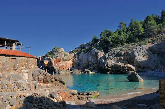 Immerse yourself in olives in Mallorca, Spain