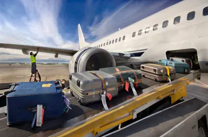 Airlines collected record baggage fees in 2012