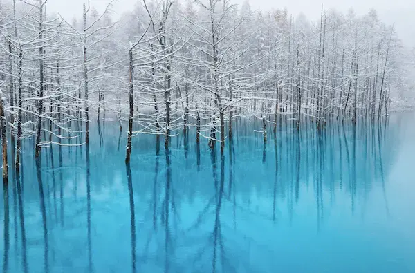 In Japan, a pond that changes colour based on the weather