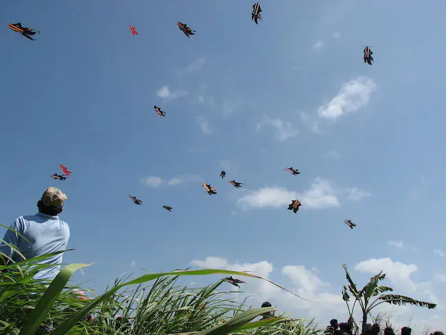 Be a part of Bali’s annual Kite Festival