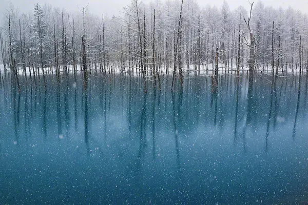 In Japan, a pond that changes colour based on the weather