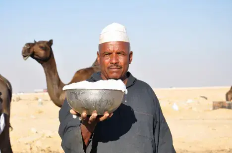 Ritz-Carlton Abu Dhabi Offers Camel Milkshakes