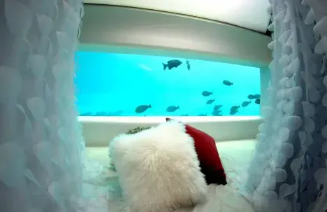 First Underwater Spa Opens in the Maldives