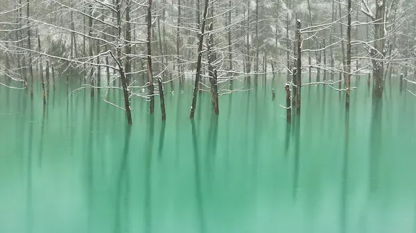 In Japan, a pond that changes colour based on the weather