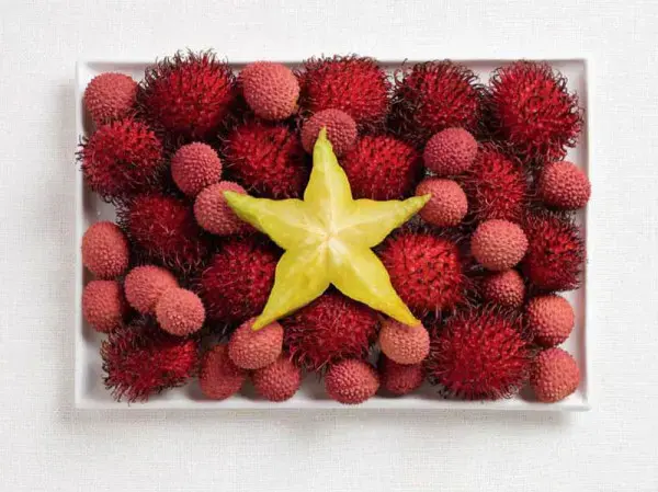 National flags made from each country's traditional foods