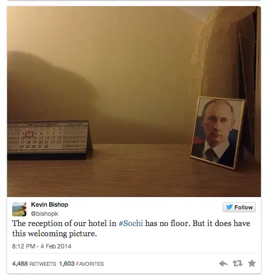 Sochi Winter Olympics 2014: Beware tap water and stray dogs