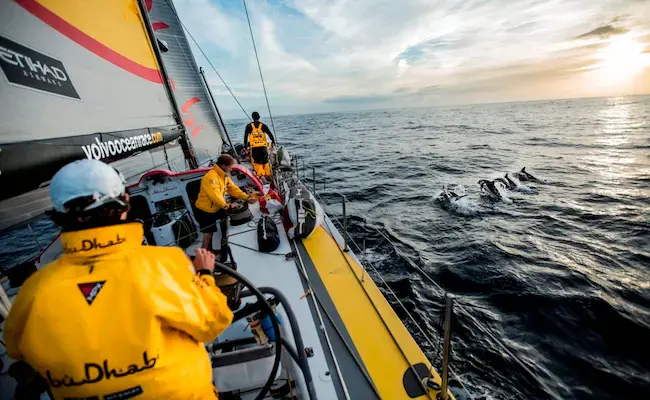 Team Abu Dhabi race alongside dolphins