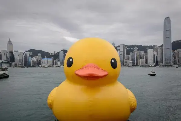 Giant Rubber Duck is coming to Dubai