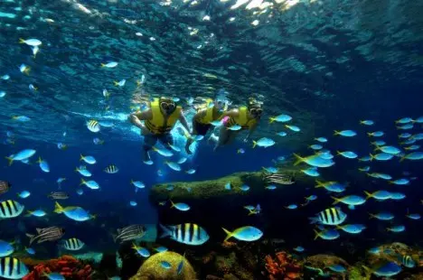 World’s largest oceanarium to open in Singapore