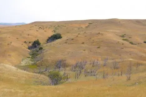 Historic US town of two goes on auction block