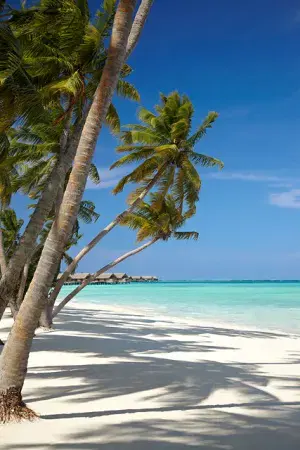 Shangri-La Maldives voted Best Beach Hotel 2013