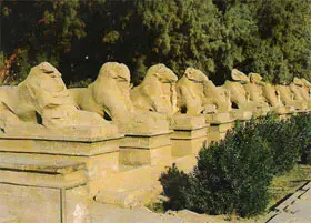 وزير السياحة يبحث إنشاء سلسلة فنادق بالصعيد