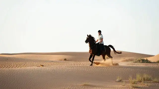 اكتشف الرومانسية العربية في منتجع المها 2