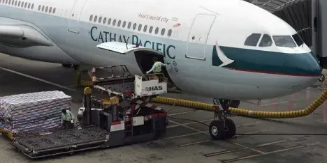 Cathay Pacific bans shark fin onboard
