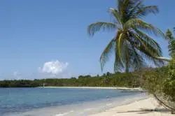 Trinidad and Tobago joins UNWTO
