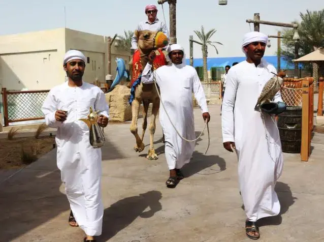 الجمل هملول والصقر شاهين في ياس ووترورلد