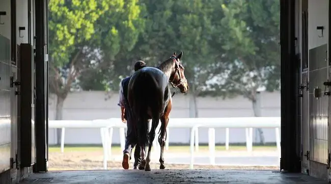Breakfast with horses at Meydan Dubai