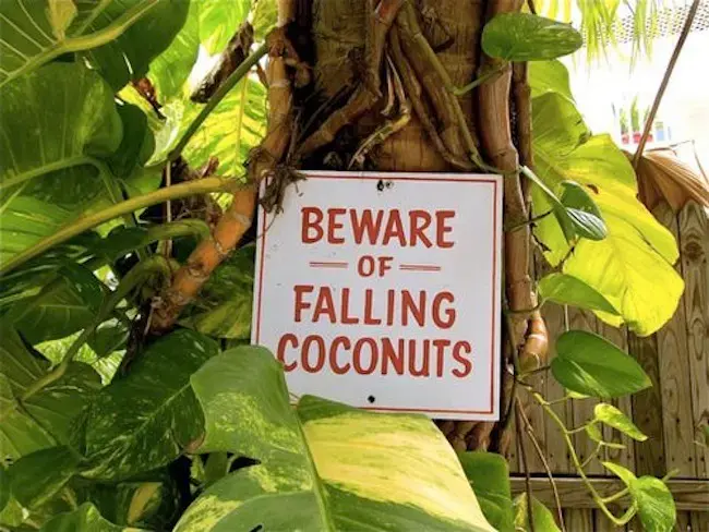 Seen any funny travel signs lately? 2