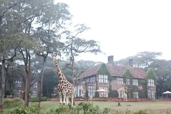 Be inspired: 8 really cool hotels around the world