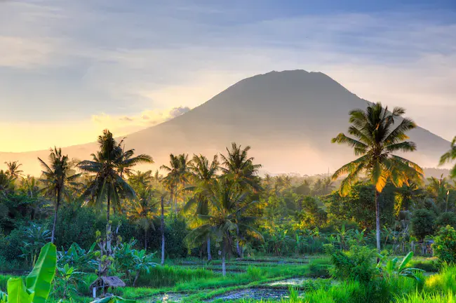 Emirates to begin daily service to Bali