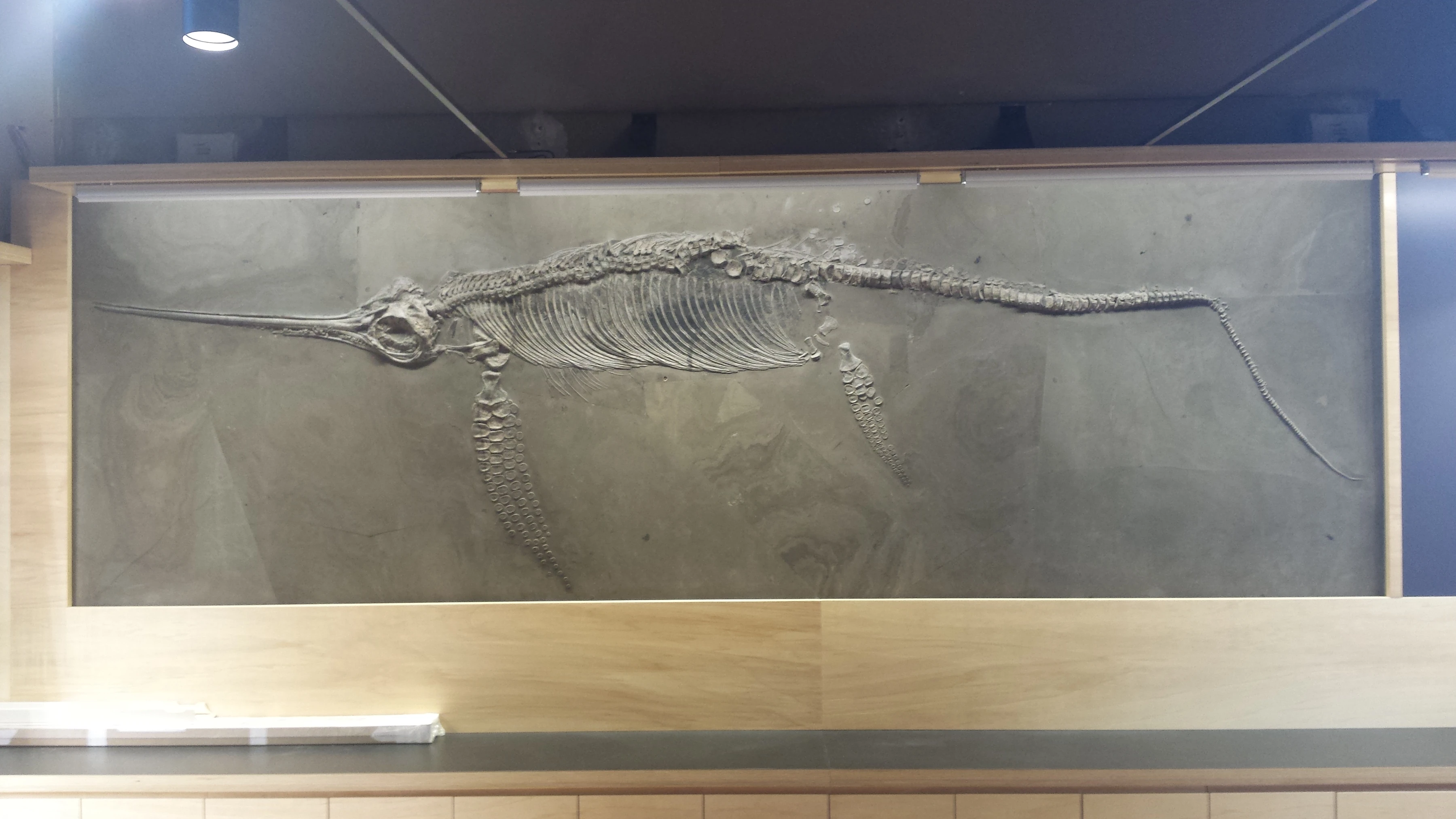 National Museum of Natural History, Paris
