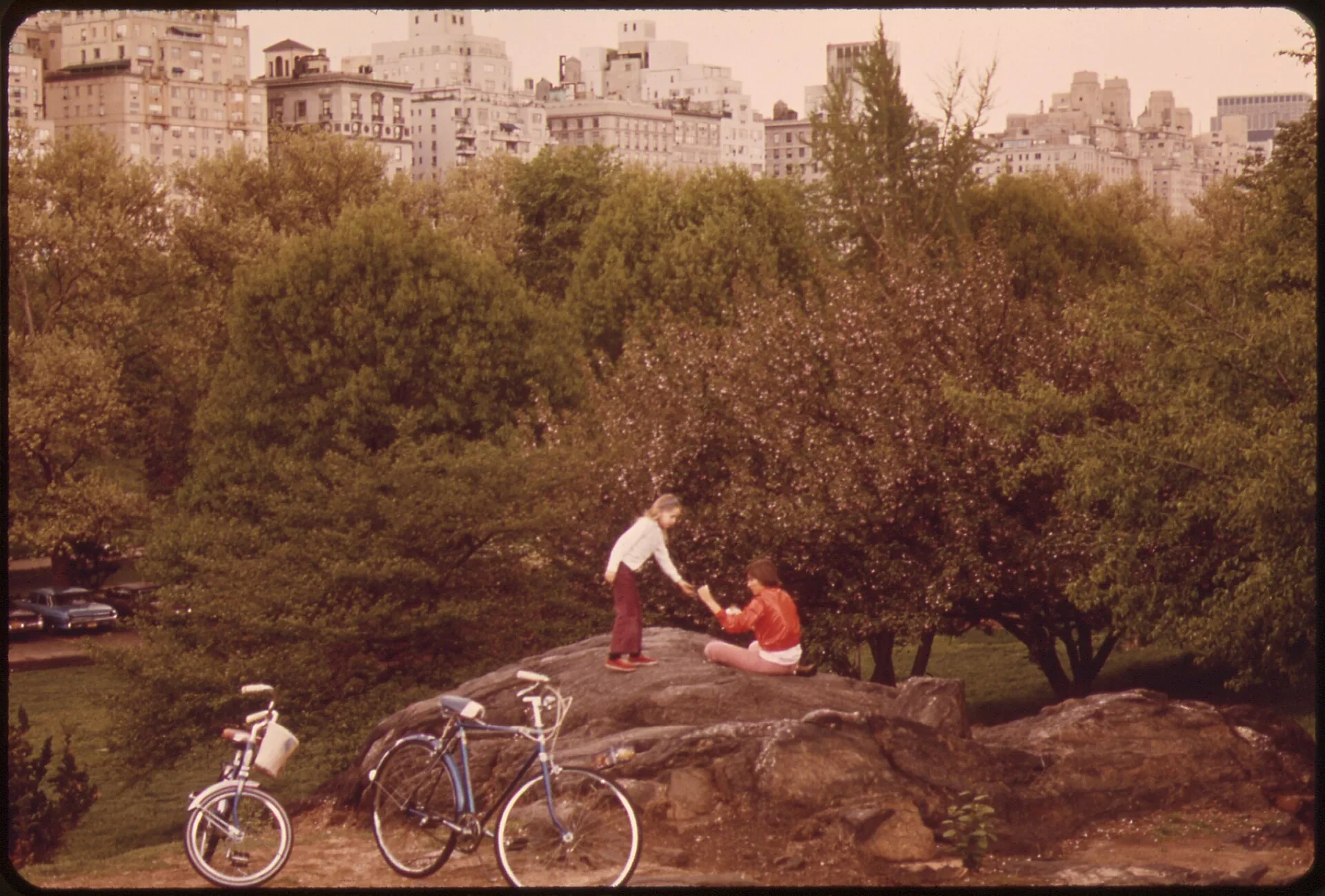 Cyclists in New York City 3