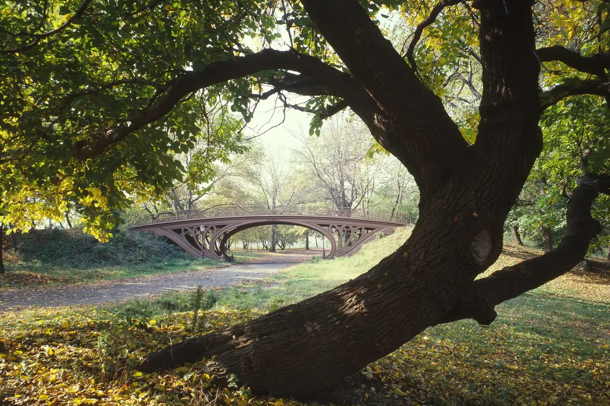 Central Park, New York