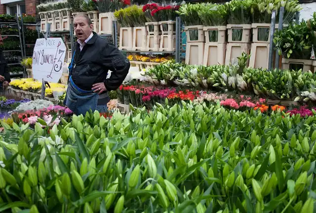 Columbia Road Flower Market