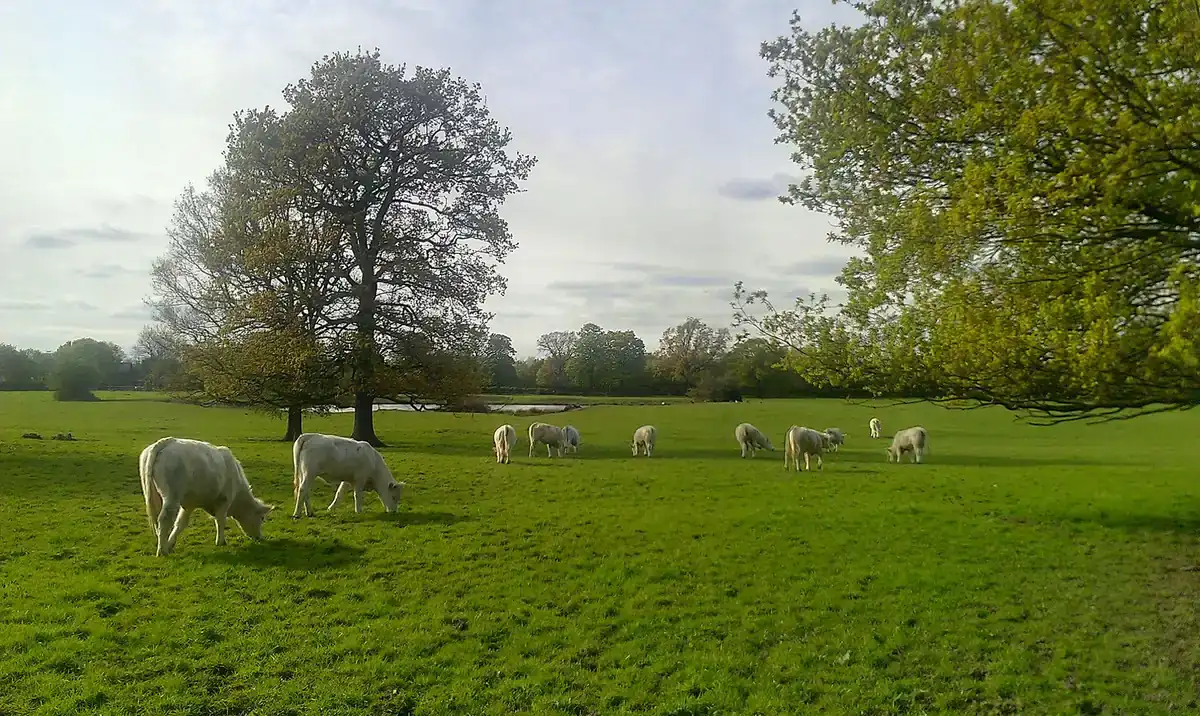 Osterley Park, London