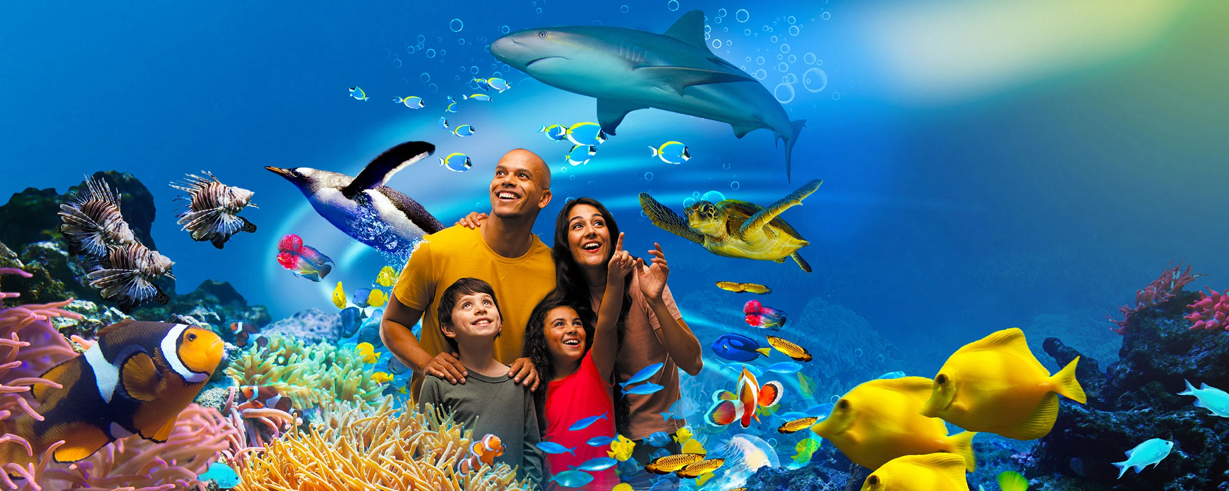 أكواريوم سي لايف