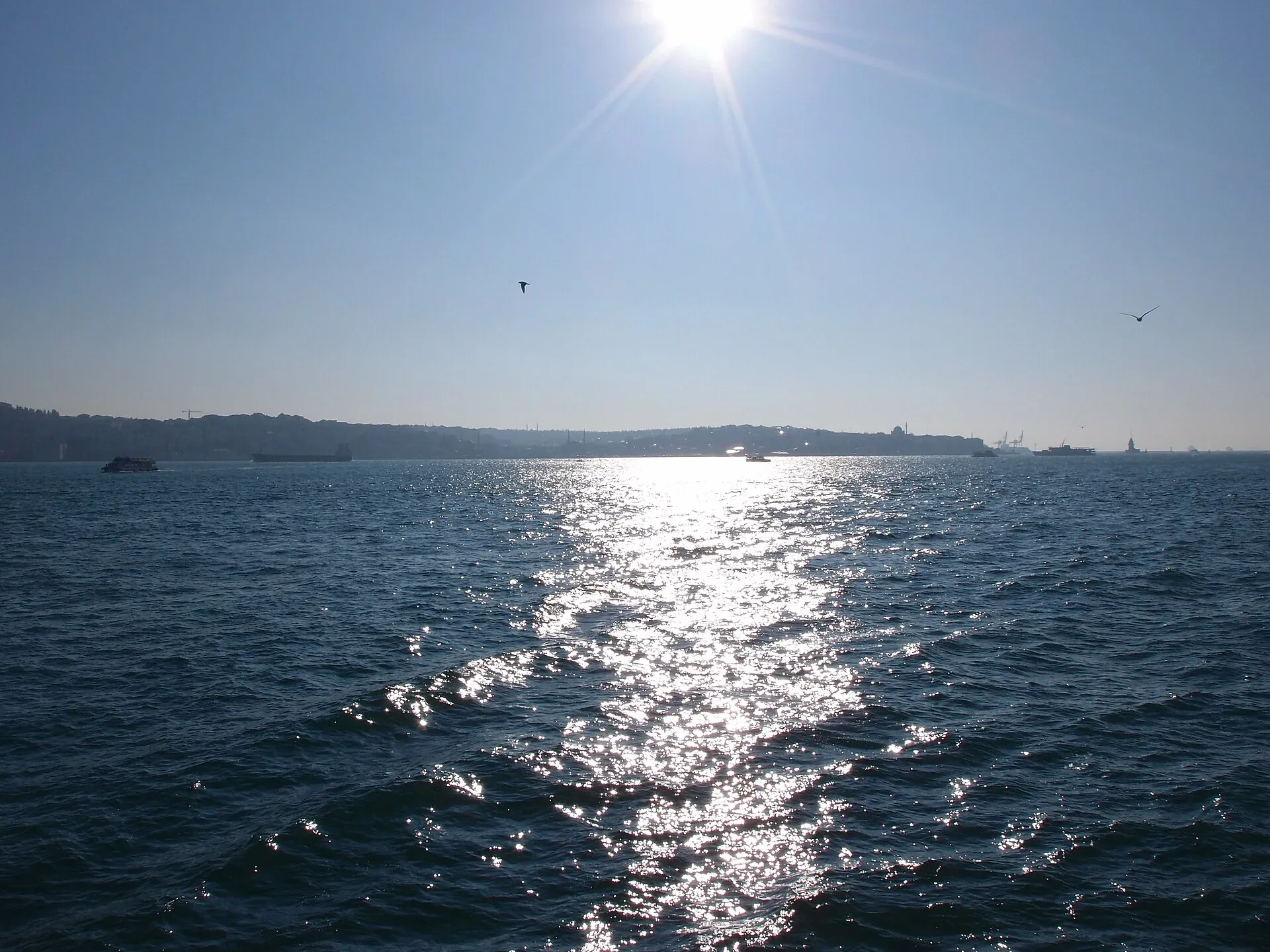 Princes’ Islands Full-Day Ferry Tour, Istanbul (representative tour image)